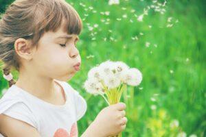 A girl blowing dandelions, one of the top causes of seasonal allergies